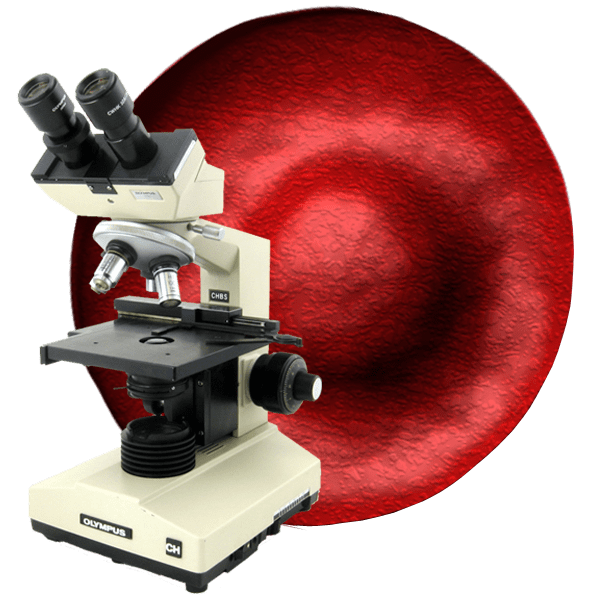 Prevail Max live blood analysis